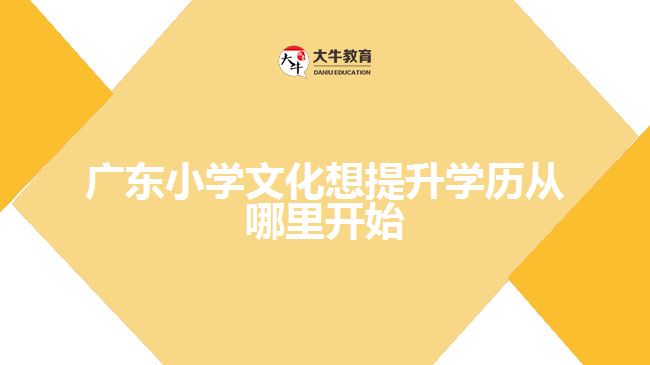 广东小学文化想提升学历从哪里开始