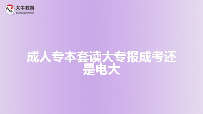 成人专本套读大专报成考还是电大