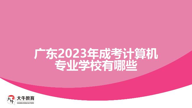 广东2023年成考计算机专业学校有哪些