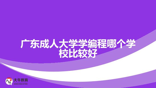 广东成人大学学编程哪个学校比较好