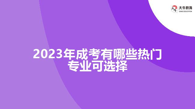 2023年成考有哪些热门专业可选择
