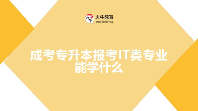 成考专升本报考IT类专业能学什么