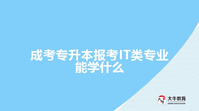 成考专升本报考IT类专业能学什么