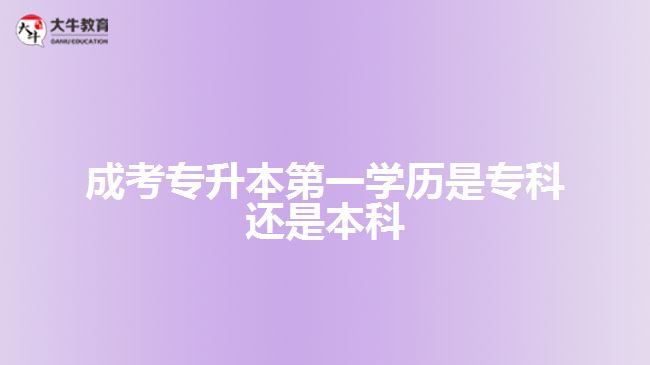 成考专升本第一学历是专科还是本科