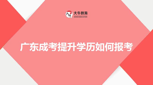 广东成考提升学历如何报考