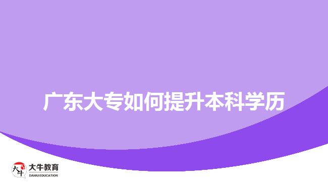 广东大专如何提升本科学历