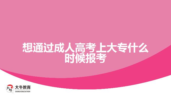 想通过成人高考上大专什么时候报考