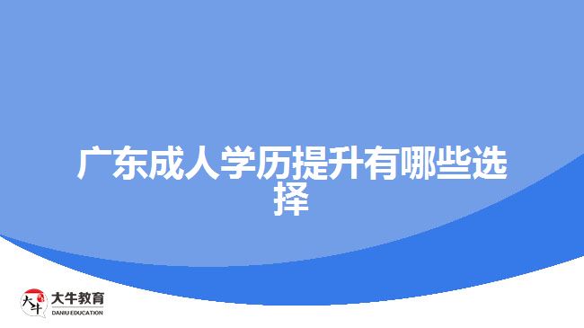 广东成人学历提升有哪些选择