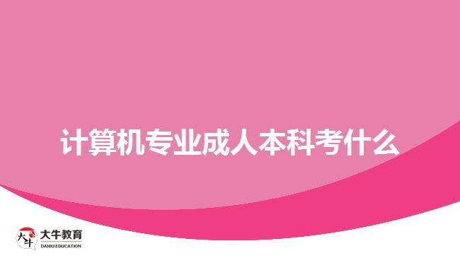 计算机专业成人本科考什么