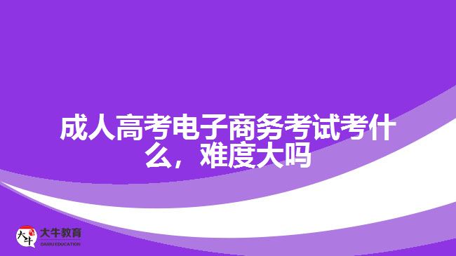 成人高考电子商务考试考什么难度大吗