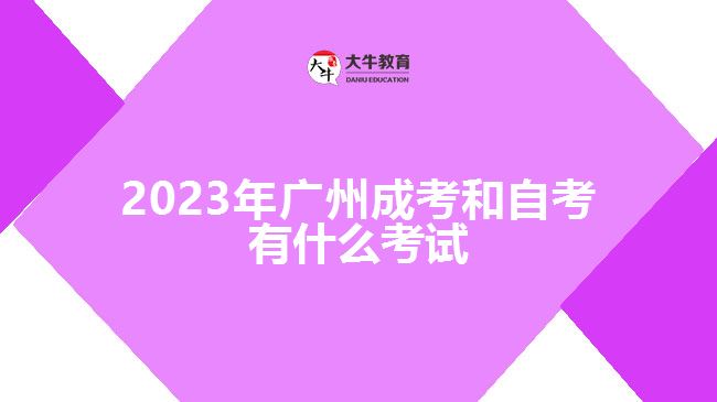 2023年广州成考和自考有什么考试