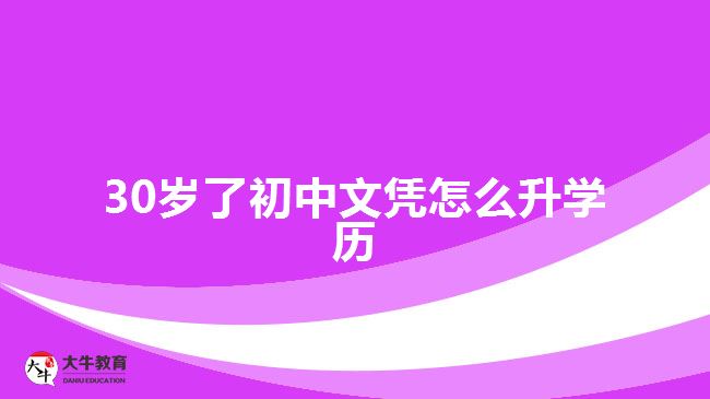 30岁了初中文凭怎么升学历