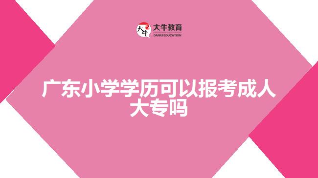 广东小学学历可以报考成人大专吗
