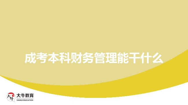 成考本科财务管理能干什么