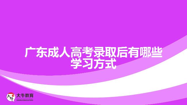 广东成人高考录取后有哪些学习方式
