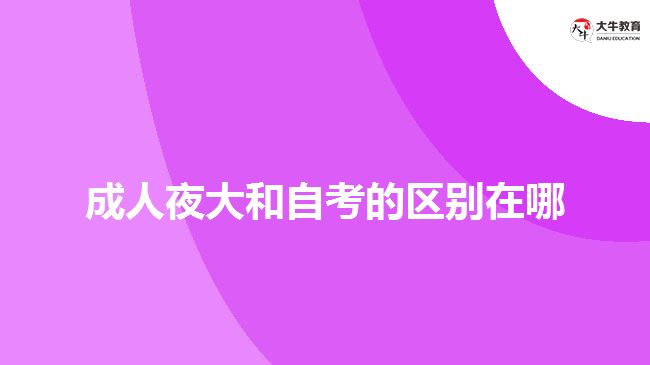 成人夜大和自考的区别在哪