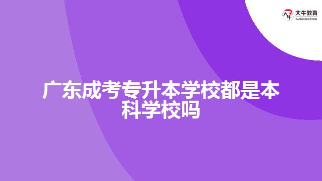 广东成考专升本学校都是本科学校吗