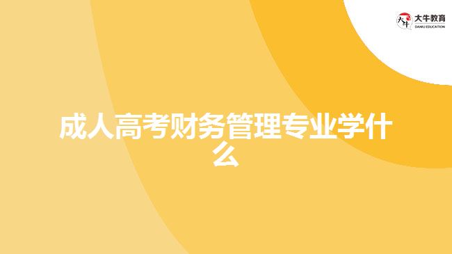 成人高考财务管理专业学什么