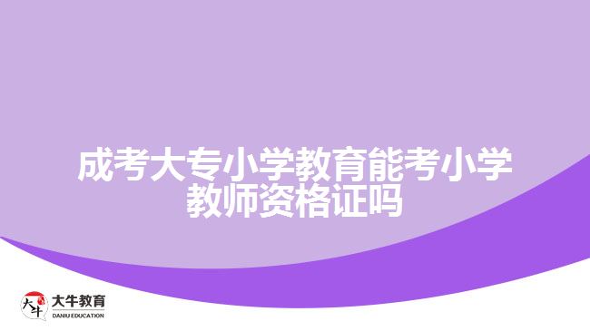 成考大专小学教育能考小学教资吗