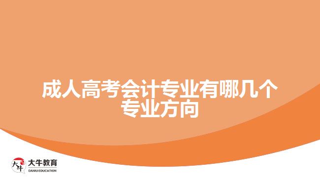 成人高考会计专业有哪几个专业方向
