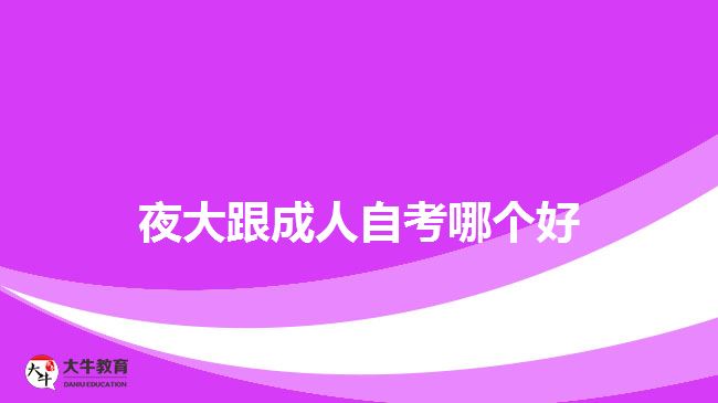 夜大跟成人自考哪个好