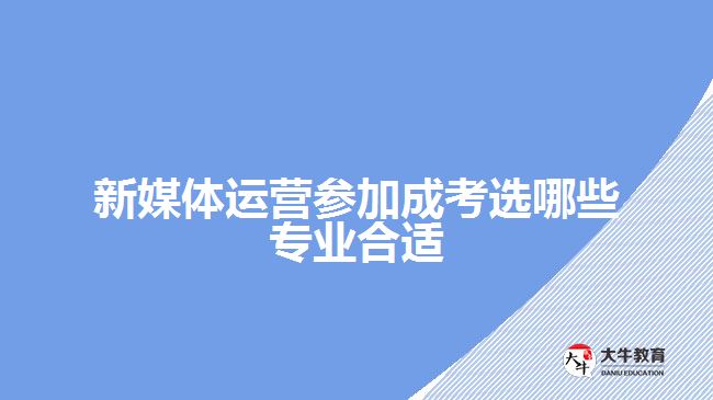 新媒体运营参加成考选哪些专业合适