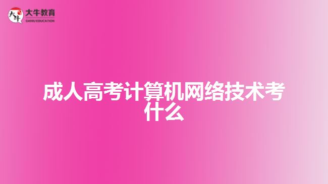 成人高考计算机网络技术考什么
