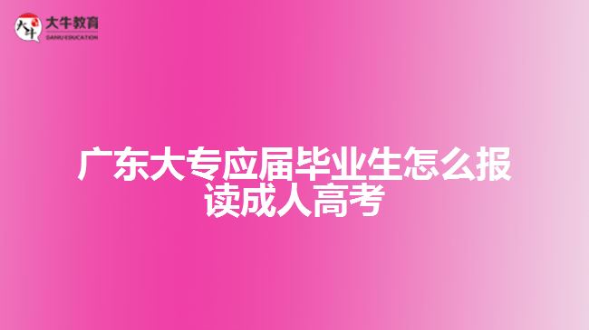 广东大专应届毕业生怎么报读成人高考