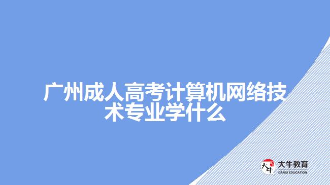 成人高考计算机网络技术专业学什么