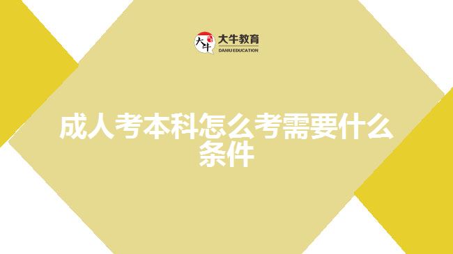 成人考本科怎么考需要什么条件