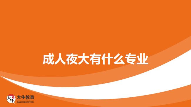 成人夜大有什么专业