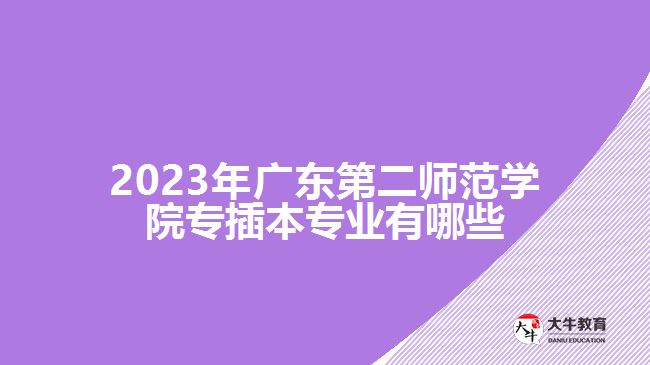 2023年广东第二师范学院专插本专业有哪些