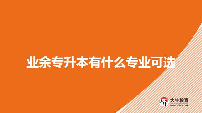 业余专升本有什么专业可选