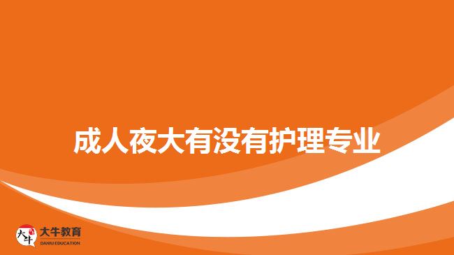 成人夜大有没有护理专业