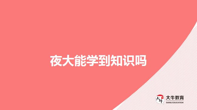 夜大能学到知识吗