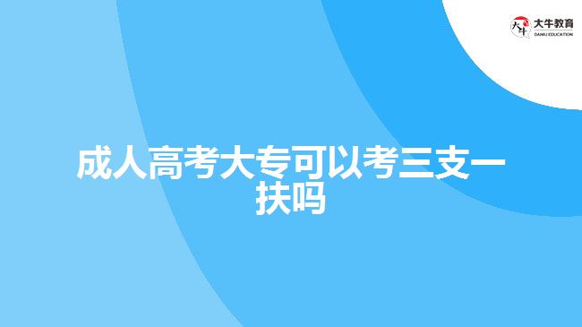 成人高考大专可以考三支一扶吗