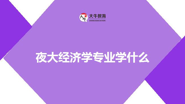 夜大经济学专业学什么