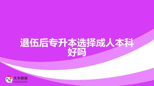 退伍后专升本选择成人本科好吗