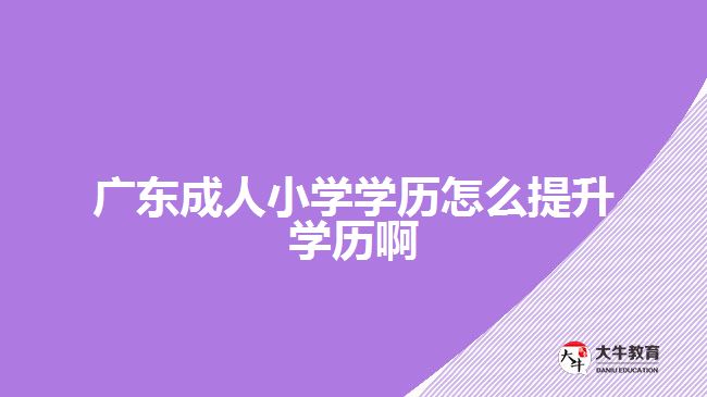 广东成人小学学历怎么提升学历啊