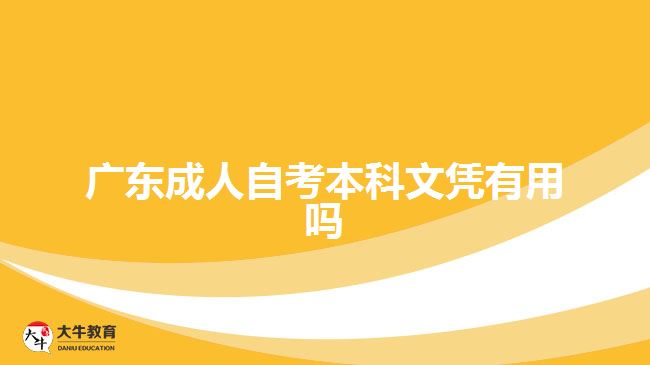 广东成人自考本科文凭有用吗