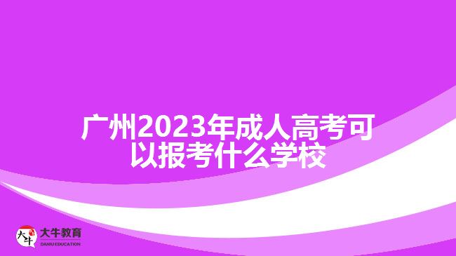2023年成人高考可以报考什么学校