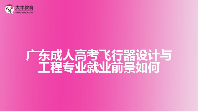 广东成人高考飞行器设计与工程专业就业前景如何