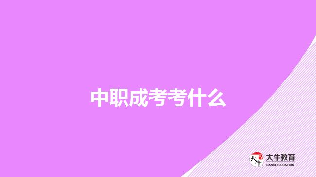 中职成考考什么