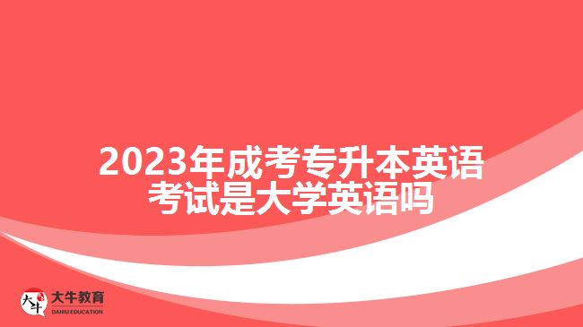 成考专升本英语考试是大学英语吗