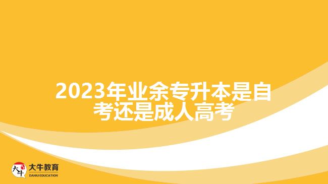 2023年业余专升本是自考还是成人高考