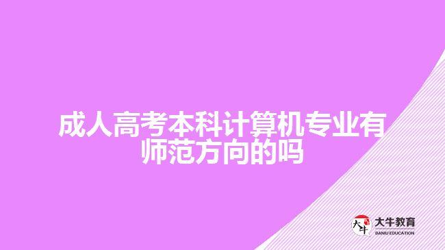 成人高考本科计算机专业有师范方向