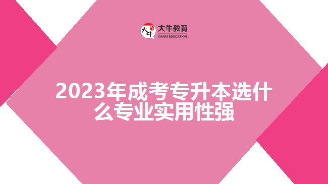 2023年成考专升本选什么专业实用性强