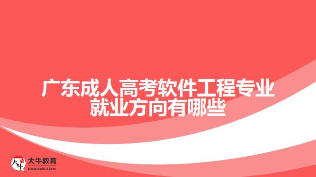 广东成人高考软件工程专业就业方向有哪些