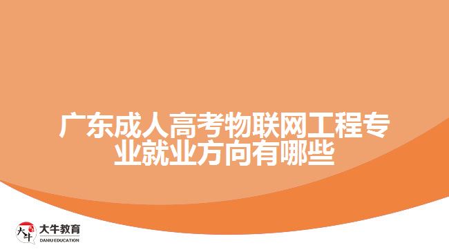 广东成人高考物联网工程专业就业方向有哪些