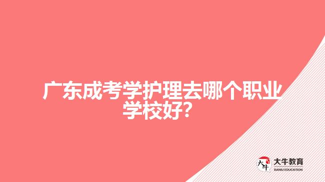 广东成考学护理去哪个职业学校好？